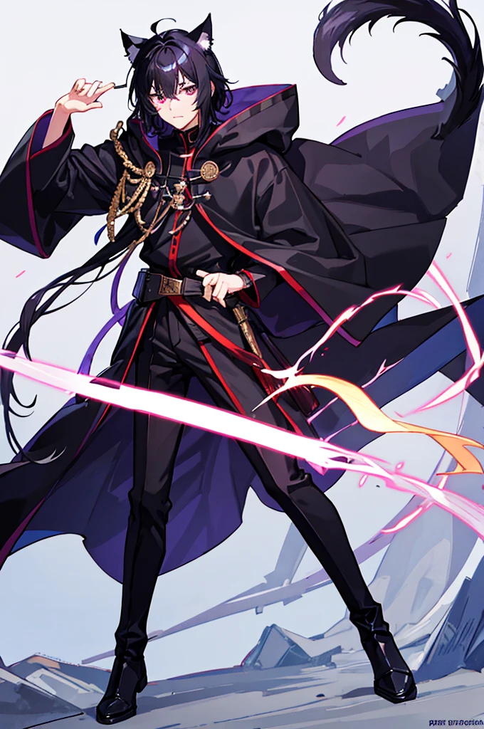 Black Hair少年，Around fifteen years old，Black Hair，Cat ear，Cat tail，Purple cloak，Heterochromia，Red left eye，Blue right eye，White shirt，Purple cloak，Standing，whole body，For the audience，White background，masterpiece，HD，4K，Detailed facial depiction，Black trousers，Black boots，Black Hair，White background（1:5）