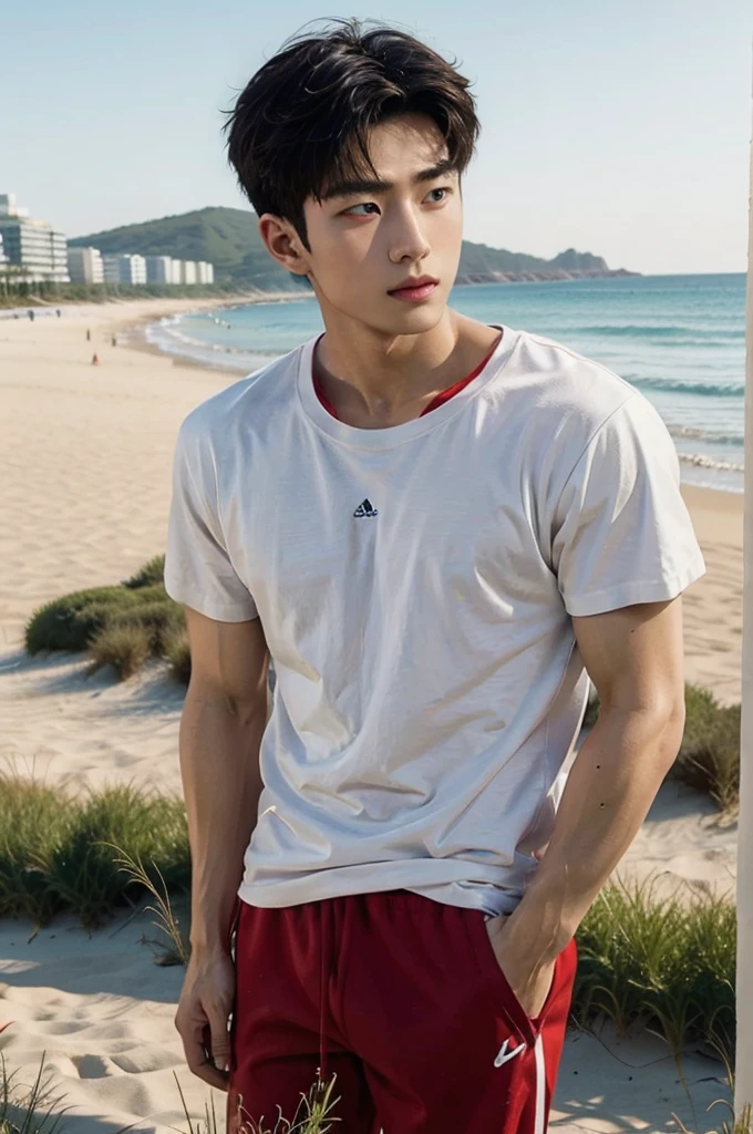 A handsome, muscular young Asian man looks at the camera. In a simple t-shirt white and red , Fieldside, grass, beach, sunlight, Carrying a camera