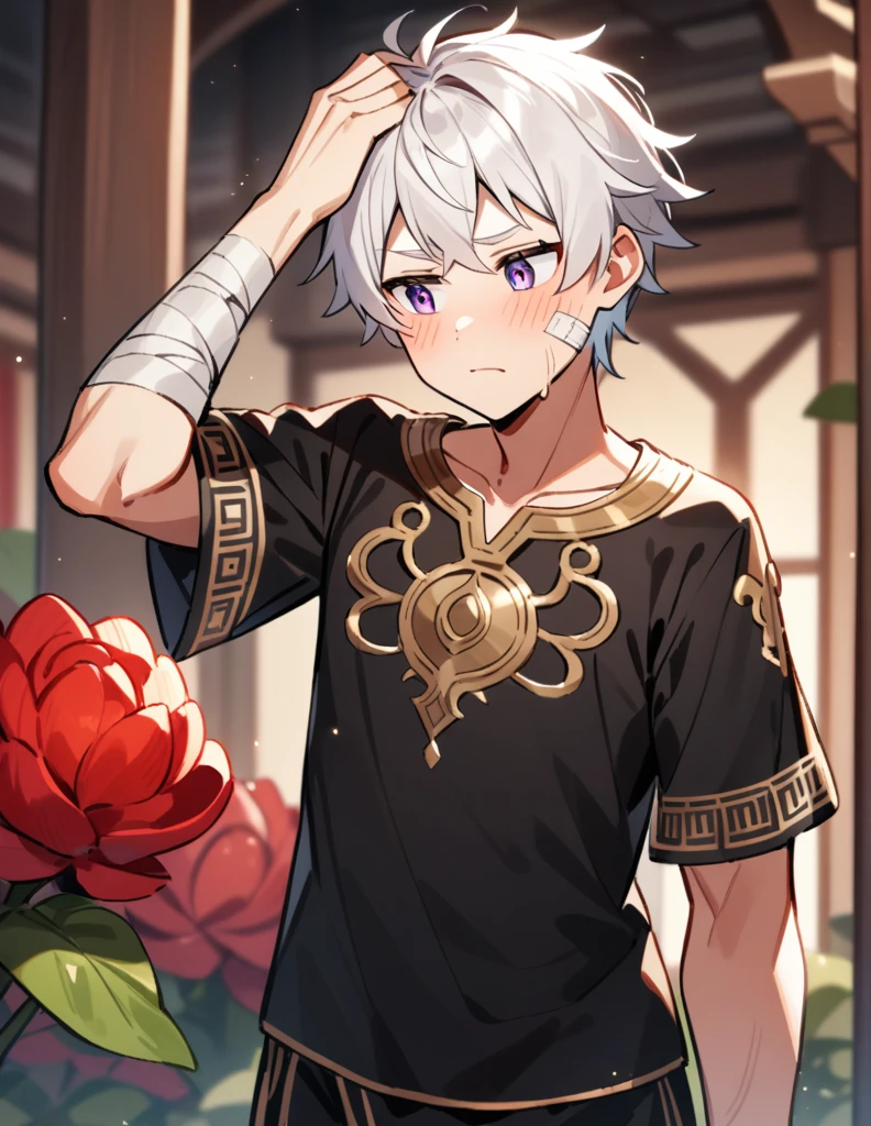 small Greek boy with white hair, violet eyes, wearing an all-black Greek shirt with small gold details, with bandages on his cheek and arm, standing scratching his head while looking away blushing, with an all-red garden in a blurred background