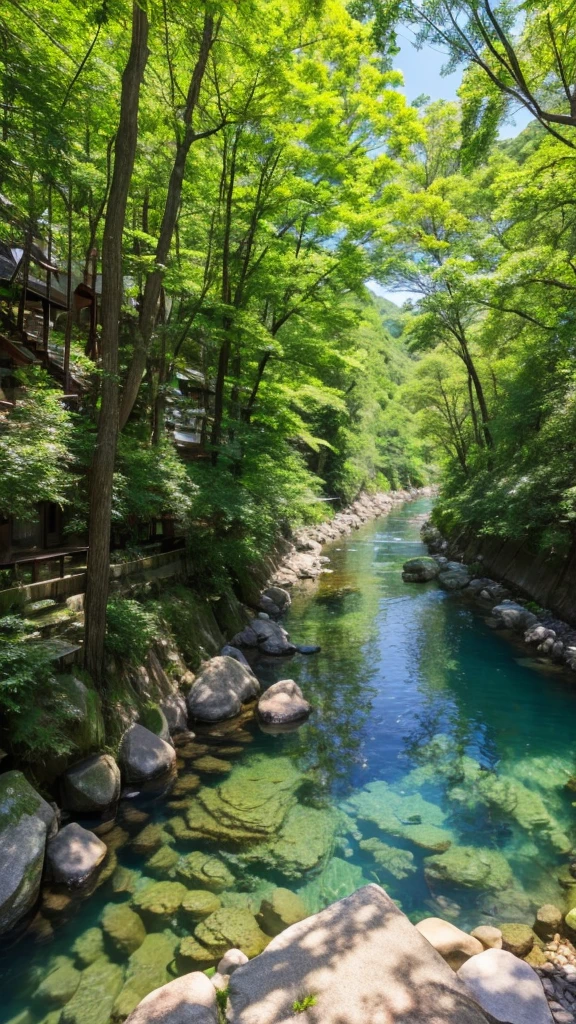 A riverbank with clear water and sunlight filtering through the trees in Mino City, Gifu Prefecture