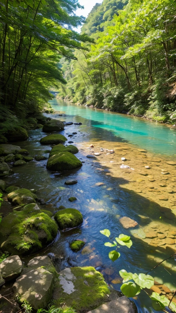 A riverbank in the forest on the riverbank with clear water and sunlight filtering through the trees in Mino City, Gifu Prefecture
