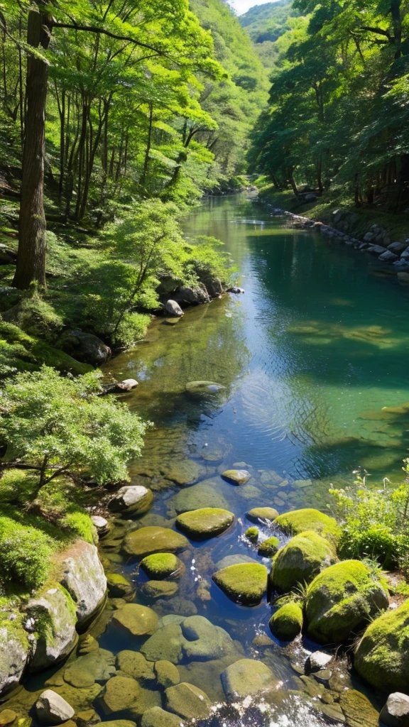 A riverbank in the forest on the riverbank with clear water and sunlight filtering through the trees in Mino City, Gifu Prefecture