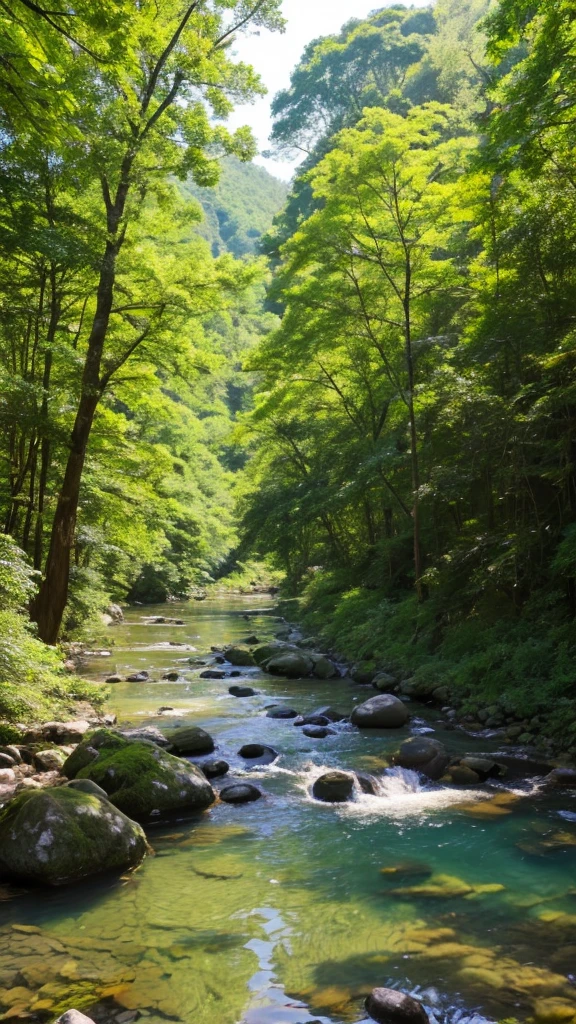 A riverbank in the forest on the riverbank with clear water and sunlight filtering through the trees in Mino City, Gifu Prefecture
