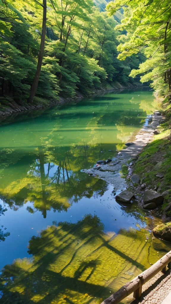 A view of the Kawahara River in the forest on the clear water with sunlight filtering through the trees in Mino City, Gifu Prefecture