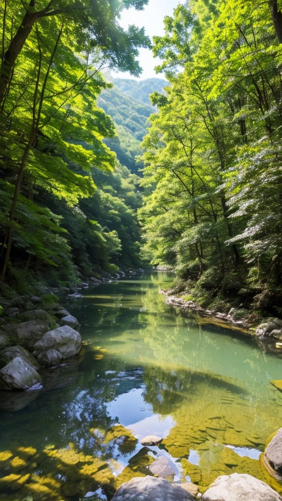 I took a photo of a peaceful moment spent in nature..。wood々Imagine a peaceful landscape bathed in soft morning light.。.。a gentle meandering stream、Surrounded by lush greenery。In the foreground、a person sitting quietly on the shore々、do you meditate?、Perhaps they are simply soaking in the calmness of their surroundings.。The overall atmosphere is calm and connected to the natural world.、Highlights the beauty and serenity of outdoor moments。







