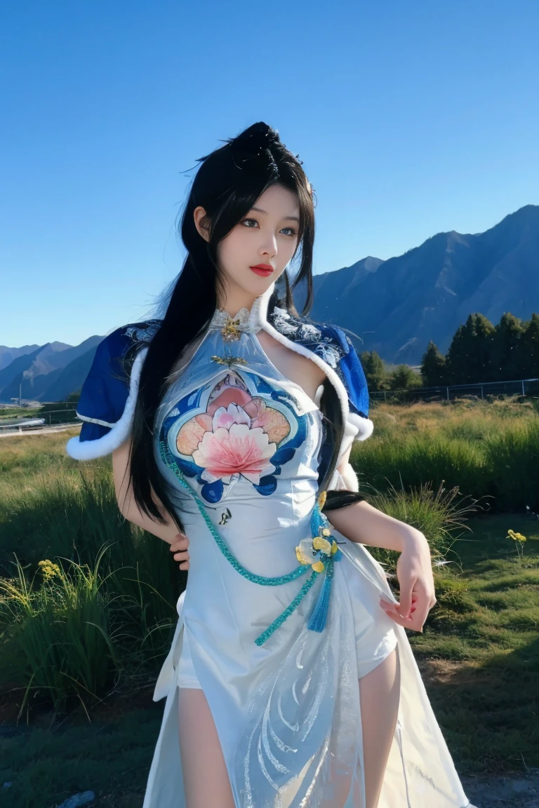 best quality, tmasterpiece,Ultra-high resolution,Clear face,(Reality:1.4),ferpect lighting,(upper body), (photorealistic:1.50), anime wallpaper, Guviz style artwork, cover-up fantasy up to magic , by Yang J, Guviz, beautiful artwork illustration, beautiful digital artwork, beautiful digital illustration, Li Song, beautiful anime portrait, art style in Beauvot, 1girl, 独奏,cosplay, looking at the audience,
long hair, black hair, hair bun, blue eyes, Chinese dress,
Outdoor, grassland, park, Garden, (standing:1.5), night sky, (looking at viwer:1.3),