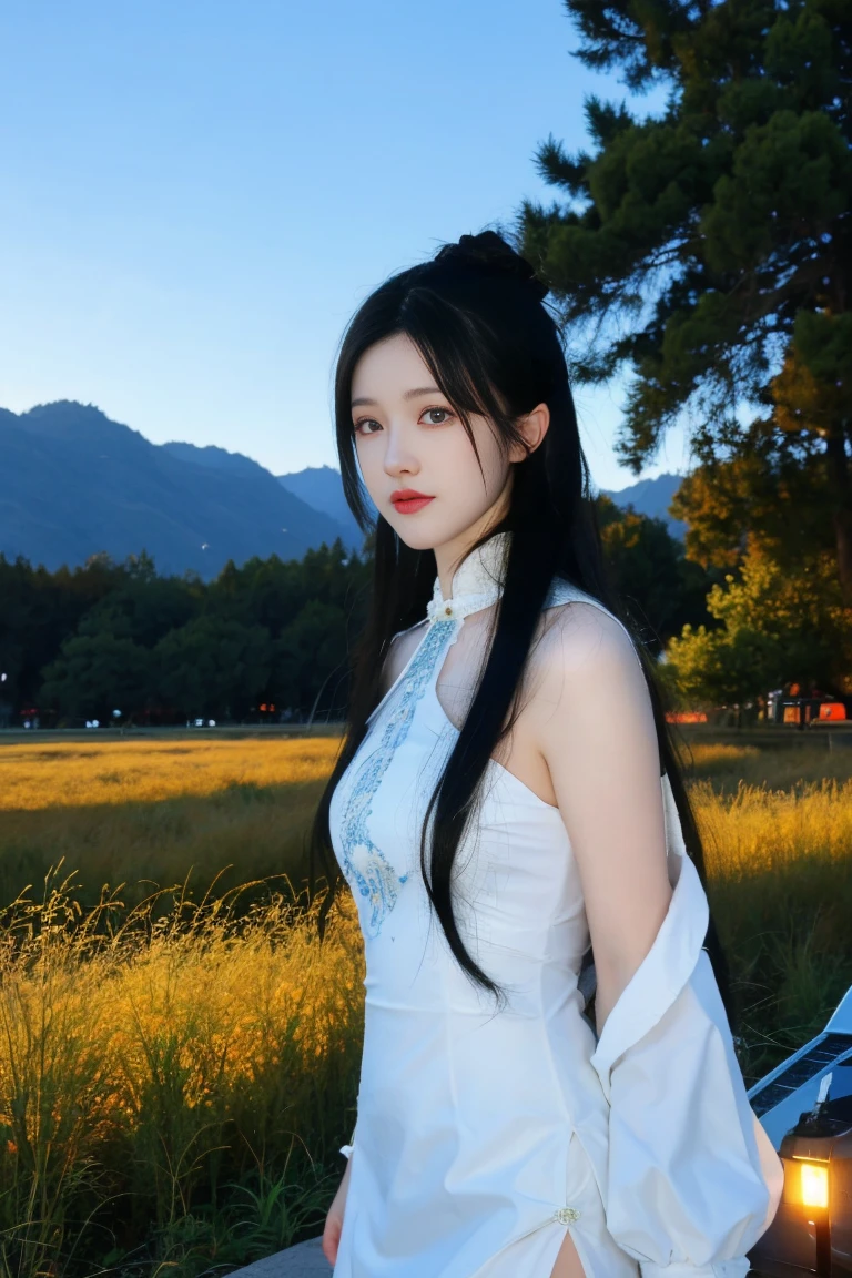 best quality, tmasterpiece,Ultra-high resolution,Clear face,(Reality:1.4),ferpect lighting,(upper body), (photorealistic:1.50), anime wallpaper, Guviz style artwork, cover-up fantasy up to magic , by Yang J, Guviz, beautiful artwork illustration, beautiful digital artwork, beautiful digital illustration, Li Song, beautiful anime portrait, art style in Beauvot, 1girl, 独奏,cosplay, looking at the audience,
long hair, black hair, hair bun, blue eyes, Chinese dress,
Outdoor, grassland, park, Garden, (standing:1.5), night sky, (looking at viwer:1.3),