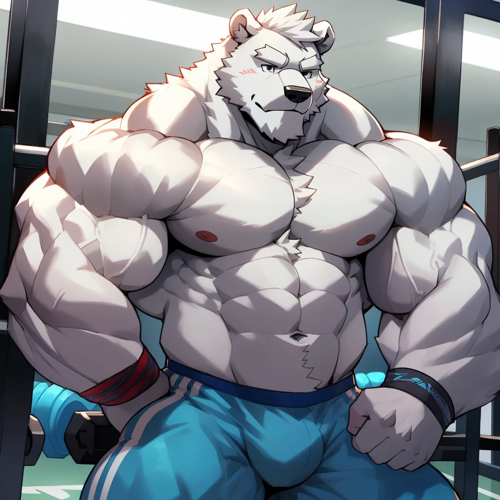 solo, 1boy, Huge Muscular White Polar Bear wearing glasses, huge white fur, pectoral, huge pectoral, wide pectoral, short white hair, blue colored short pants, blue colored wristbands and shirtless and topless, white bearded, white Mustache, white fur, black eyebrows, gym fitness center background, masterpiece, high detailed, 8k, high resolution, at the gym, wrestling, all hunk of muscle