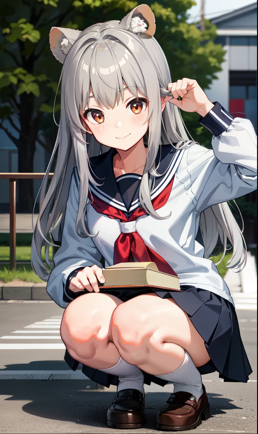 、smile、Tanuki girl、Gray Hair、high school student、uniform、Serafuku、squat、（Small breasts）