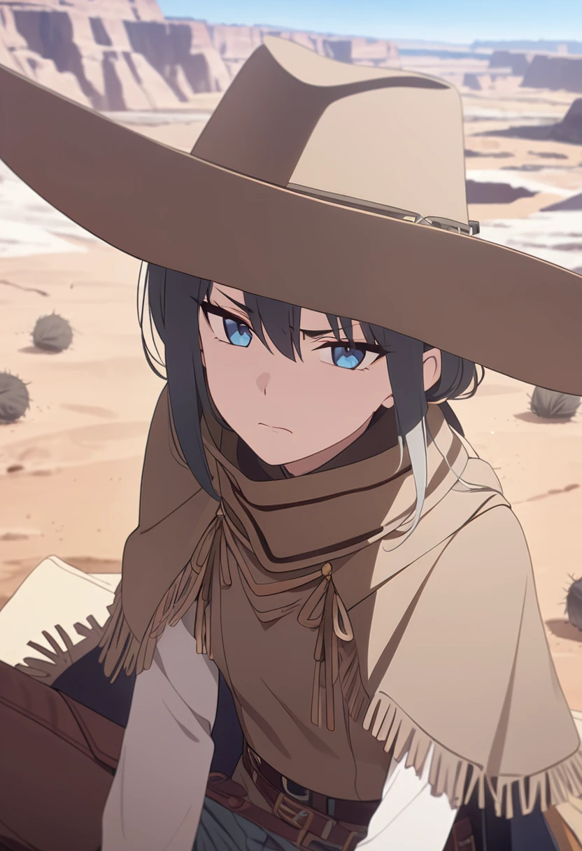 masterpiece,best quality,depth of field,8K,looking at the viewer,dark gray hair,blue eyes,light brown chaps,dark brown poncho,갈색 Ten gallon hat,brown leather jumper,chic,wseifuku,male,sky,frowning,badlands,western frontier,tumbleweed rolling around,sitting,male,