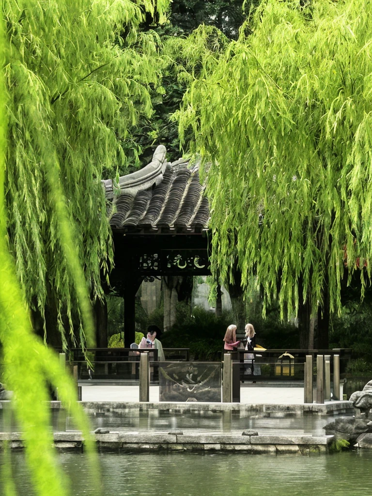 Landscape architecture,Pavilion by the water,Rich in artistic conception,Ink Painting,Chinese painting,willow,Sparkling,Mustard Seed Garden Painting Manual,Chinese pavilion