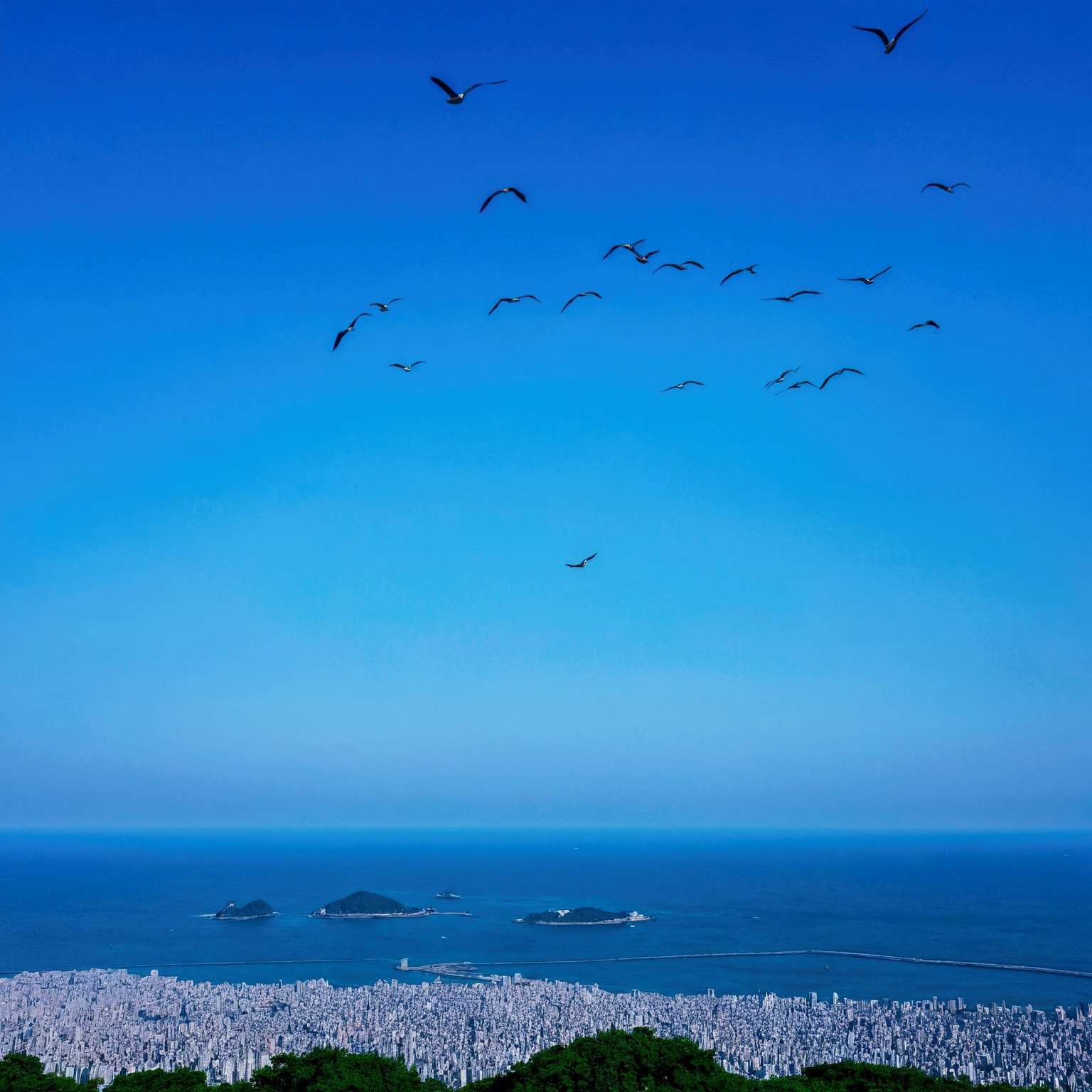 blue sky,Baiyun,Birds in the distance,Ocean,Vast image,Vision