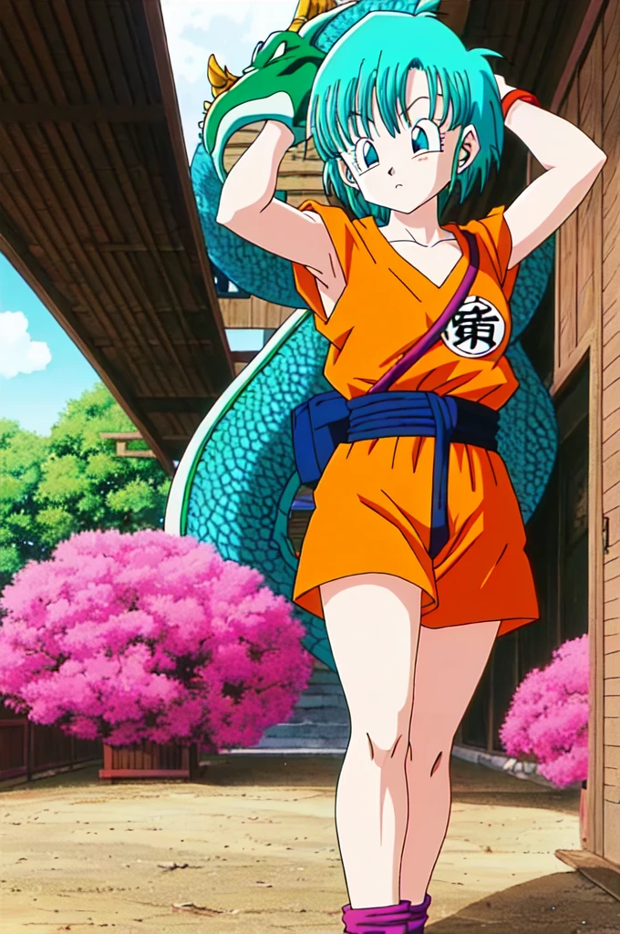 ((Highest quality)), ((masterpiece)), (detailed), ((toriyama akira))、Dragon Quest、One Girl, Pink Short Hair、Turquoise eyes