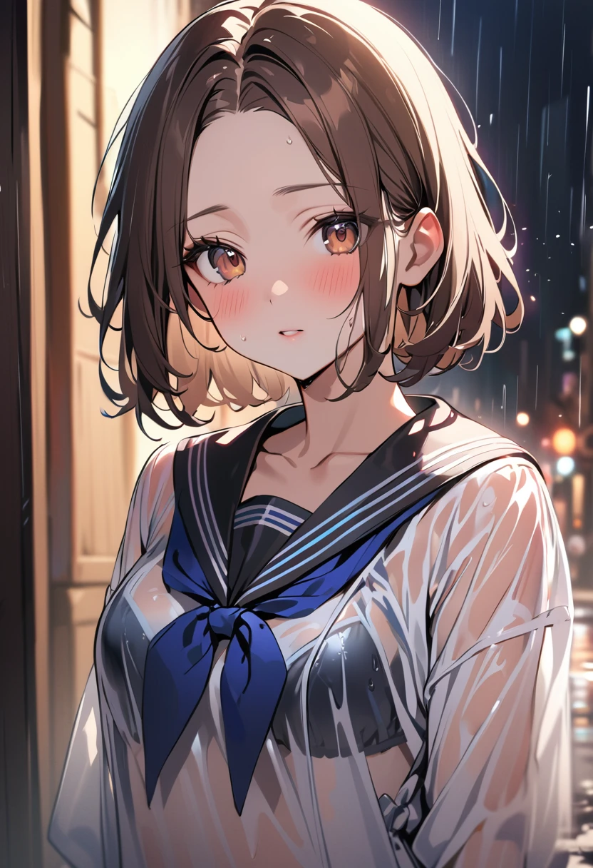 1 girl, bob, center part, forehead, brown hair, piercing, brown eyes, (blush:1.2)
BREAK (masterpiece), (high resolution 8K), cinematic lighting, professional lighting, detailed eyes and face, detailed body,
BREAK serafuku, (see through:1.2), black lingerie, rain, wet clothes, outdoors,