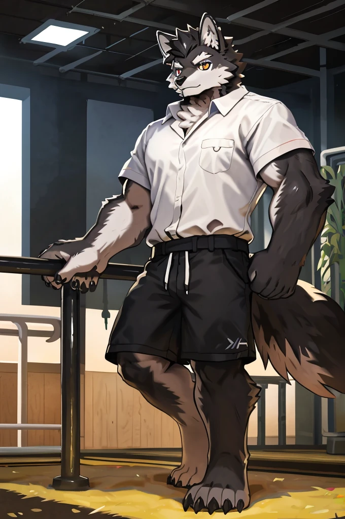 (Thick Arms),(Thick Legs),masterpiece, best quality, Official Art, Extremely detailed CG unified 8k wallpaper, Ultra Detailed, Best Illustration, , Ink fur, hairy male, Wolf Boy, hairy, Ink fur, 1 Boy,, male focus,, Striped hair, Wolf ears, Animal ears, Single speaker, Ink fur, Bangs, dark hair, White highlights, Medium Hair, Solitary, Ink tail,hairy尾巴,(Black pupil),High target,(In a school playground),,barefoot,(Sexy),((High target and strong)),side,(Delicate eyes:1.2),Inky eyes,male,Solitary,(Inky pupils),(Detailed face),(Sharp eyes),Permanent,(Detailed hands),(Foot details),aldult,type,Moderate,Long legs,(Detailed fingers),(Delicate eyes),(White shirt),(Black shorts),easy,(Big Bag)