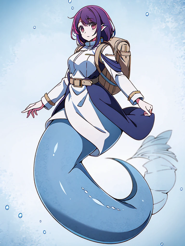 (mermaid:1.0), full body, masterpiece, best quality, 1girl, ,looking at viewer, tall, solo,military,tactical coat,belt,backpack,saddle bag, fins, under the sea,