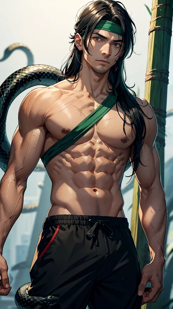 A man around 30 years old, medium height, long black hair slightly messy, eyes can't see with scars around them, tan skin with scars on several parts of the body, athletic and muscular body, green clothes made of snake scale material, long trousers , headband, wooden stick.