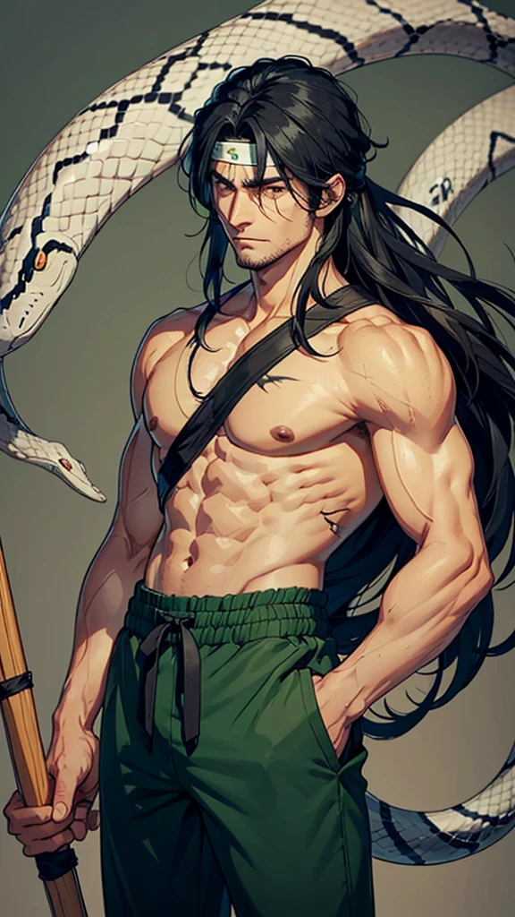 A man around 30 years old, medium height, long black hair slightly messy, eyes can't see with scars around them, tan skin with scars on several parts of the body, athletic and muscular body, green clothes made of snake scale material, long trousers , headband, wooden stick.