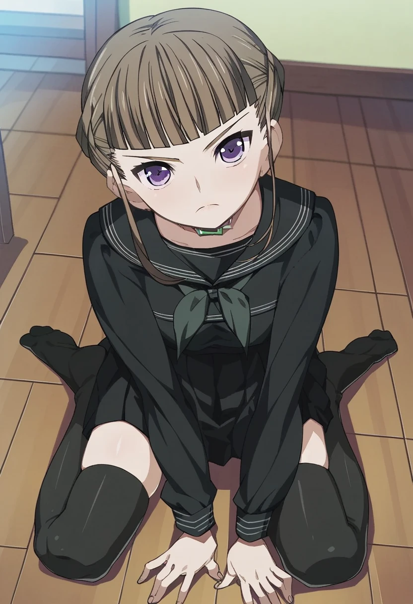 score_9, score_8_up, score_7_up, 
1girl, manaka nemu, blunt bangs, brown hair, short hair, french braid, purple eyes,

, black serafuku, black skirt, thighhighs, kneeling, on floor, indoors, looking at viewer, frown, 

