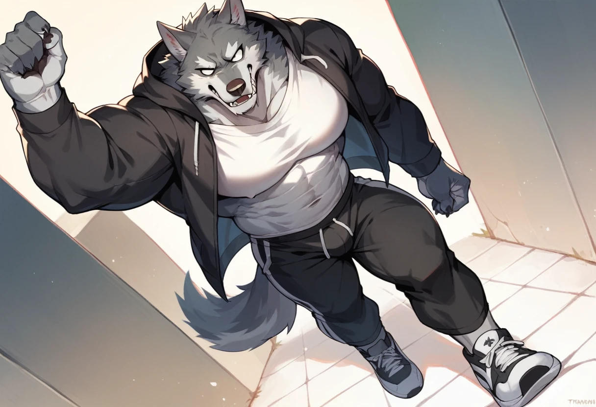 fenrir, wolf, 1boys, male, solo, gray fur, muscle, big tits, pecs, cool face, white t-shirt, black hooded jacket, black short pants, sport shoes, standing, front angle