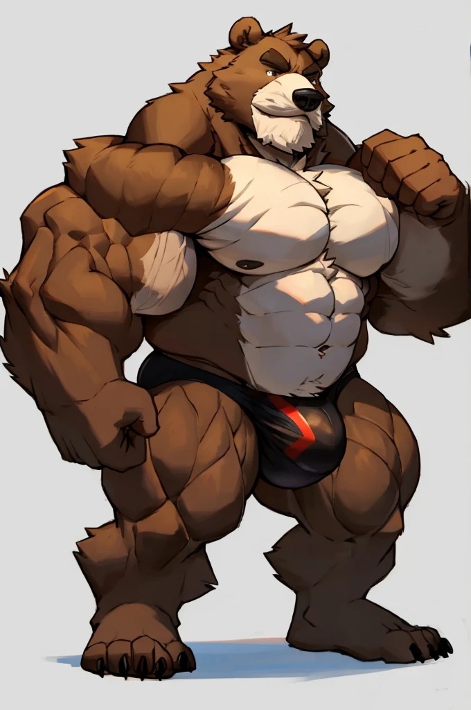 Huge muscular old Grizzly Bear standing, thick arms, thick pectoral, thick mustache, huge bulge, black competitive briefs, speedo, thick brown fur, white background 