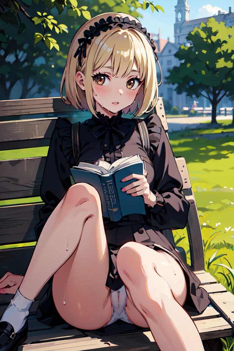 masterpiece, best quality, highly detailed background, perfect lighting, best quality, (extremely detailed face), volumetric lighting, intricate details, shadow, tonemapping, sharp focus, hyper detailed, trending on Artstation, (solo) ((Looking at the viewer)) .Girl with short blond hair. Brown eyes. curvy. Blush, Clear skin. Big bust.((Gothic dressed)). ((Sitting in the park reading)) ((Legs open)) ((white underwear)) ((wet vagina)) ((legs open showing vagina))