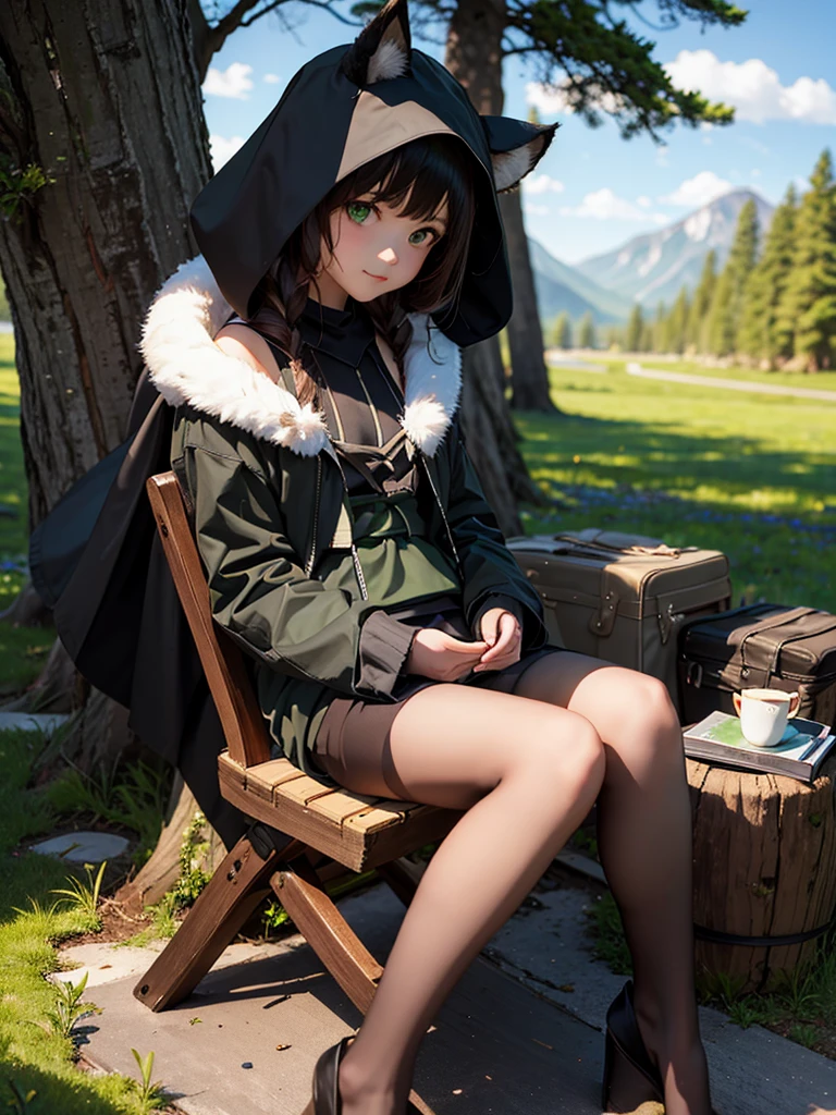 work of art, best qualityer,, 1 girl, sitting down, animal ears, blackw_body hair, Boken, Bokenmark, filial, mitts, gram, green body hair, Boken, hooded cloak, hooded cloak down, ventail, gazing at viewer, multicolored body hair, ocaneta_Boken, partially fingerless mitts, caneta, plantar, duffel bag, plume, leitura, sitting down, ssmile, standing alone, Tailpussy, Tree, Tree stump,, sky, floor, moutain, forst, lake, lingerie only