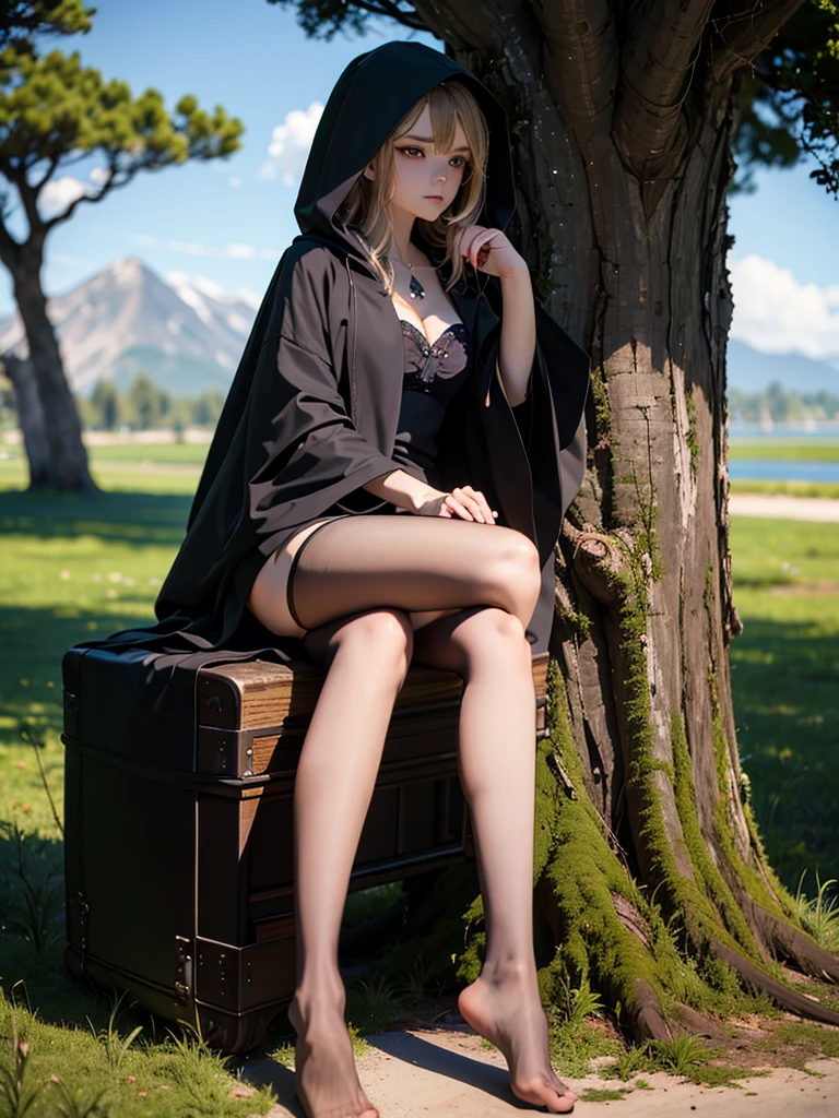 work of art, best qualityer,, 1 girl, sitting down, blackw_body hair, Boken, Bokenmark, filial, mitts, gram, blonde body hair, Boken, hooded cloak, hooded cloak down, ventail, gazing at viewer, multicolored body hair, ocaneta_Boken, partially fingerless mitts, caneta, plantar, duffel bag, plume, leitura, de pé, em frente a imagem, ssmile, standing alone, Tailpussy, Tree, Tree stump,, sky, floor, moutain, forst, lake, lingerie only, V-shaped panties, transparent lingerie, explicit
