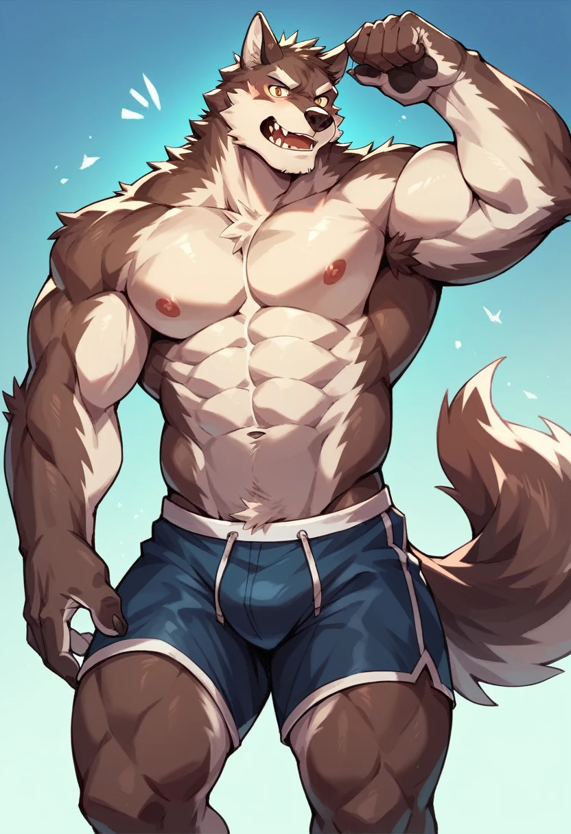 Furry giant wolf with boxer shorts over the magnificent volume full of muscles all over his body body body shorts