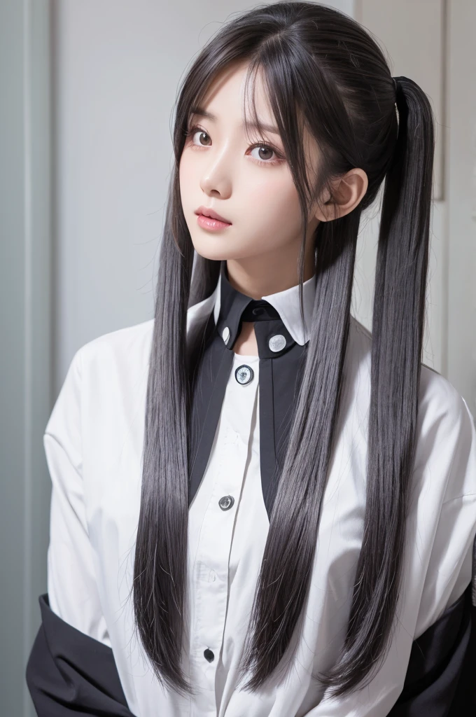 Long Hair，Twin tails，Center Parting，Gray Hair，