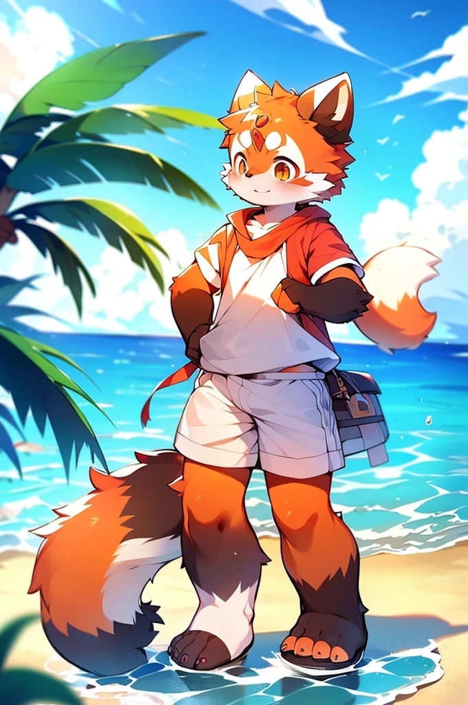 Red Panda Boy,Ocean,Beach,日本のOcean,