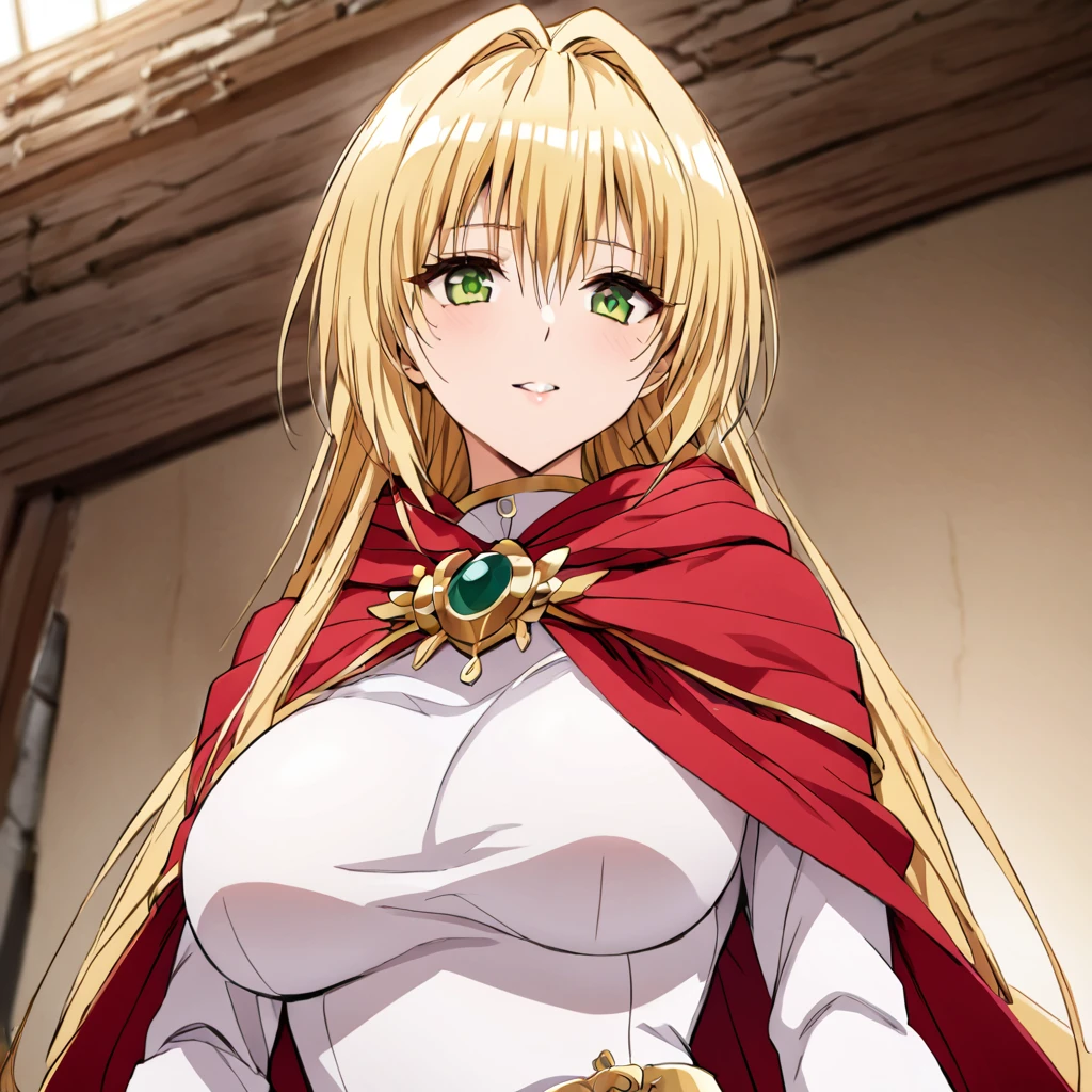 ((Highest quality)), ((masterpiece)), (detailed), （Perfect Face）、The woman is a thief with green eyes, medium-long blonde hair and a white robe.、In the castle as Princess of Moonbrooke wearing a red hooded cloak with the crest of Loto