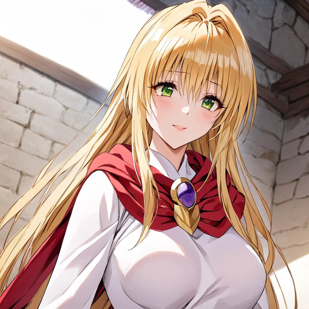 ((Highest quality)), ((masterpiece)), (detailed), （Perfect Face）、The woman is a thief with green eyes, medium-long blonde hair and a white robe.、In the castle as Princess of Moonbrooke wearing a red hooded cloak with the crest of Loto