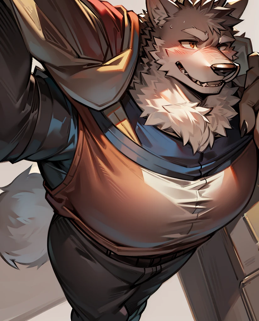furry, muscular, male, solo, wolf, clothed, by dangpa