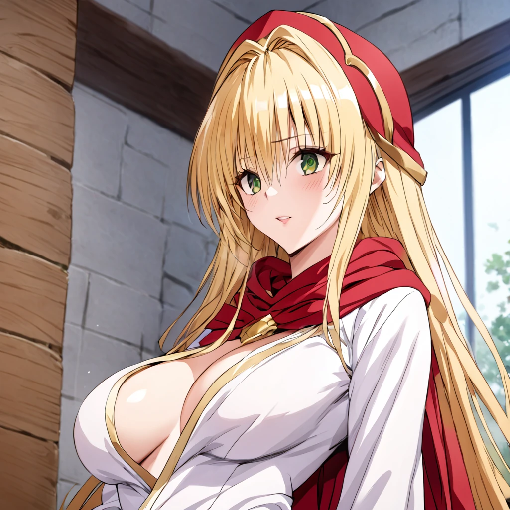 ((Highest quality)), ((masterpiece)), (detailed), (Perfect Face)、The woman is a thief with green eyes, medium-long blonde hair and a white robe.、In the castle as Princess of Moonbrooke wearing a red hooded cloak with the crest of Loto