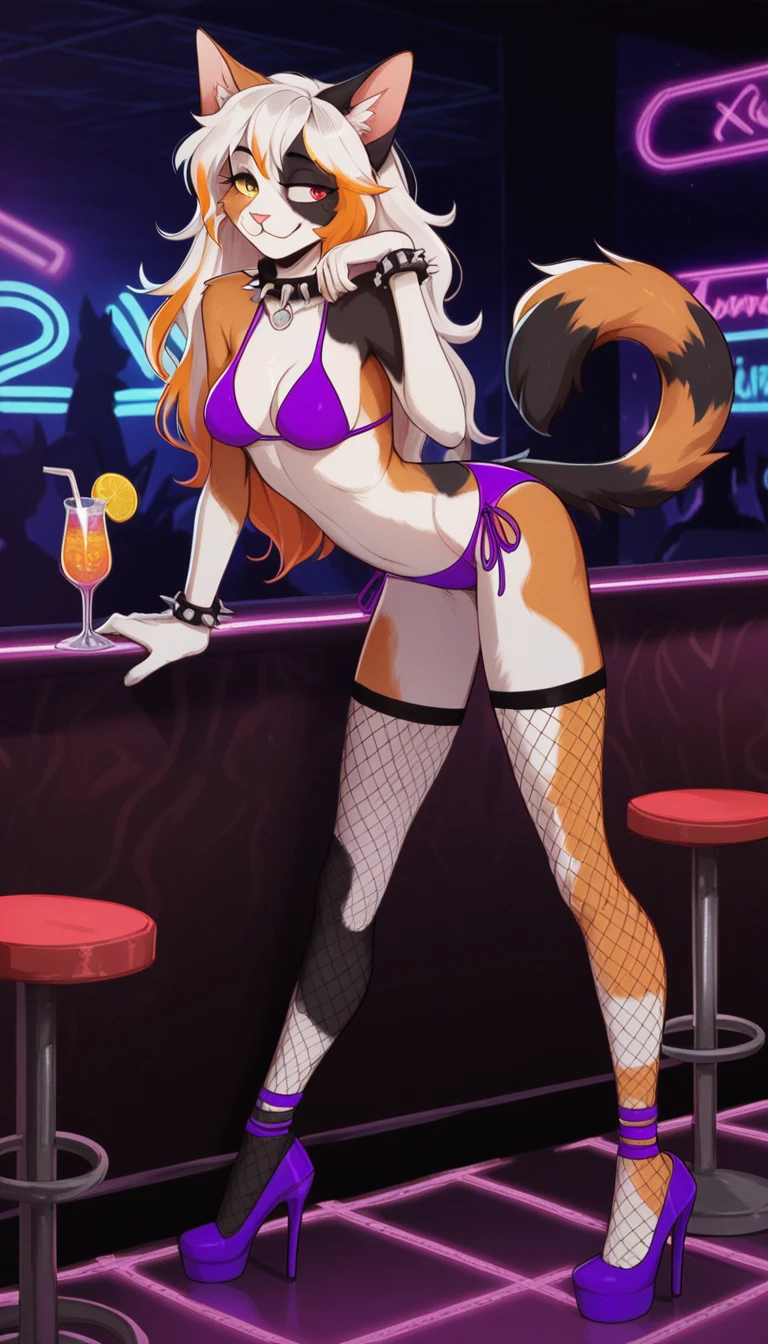 Half-closed eyes, tired expression, 1girl, anthro, furry, fur, fluffy fur, calico cat, cat girl, nightclub background, white hair (Orange highlights), heterochromia eyes, long hair, full body, (19 years), medium breast, thighs, solo, (nightclub), neon lights, detailed, purple bikini, excited smile, fishnet stockings, purple heels, one closed eye, spiked wristband, spiked collar, bent over, score_9, score_8_up, score_7_up, score_6_up, score_5_up, score_4_up