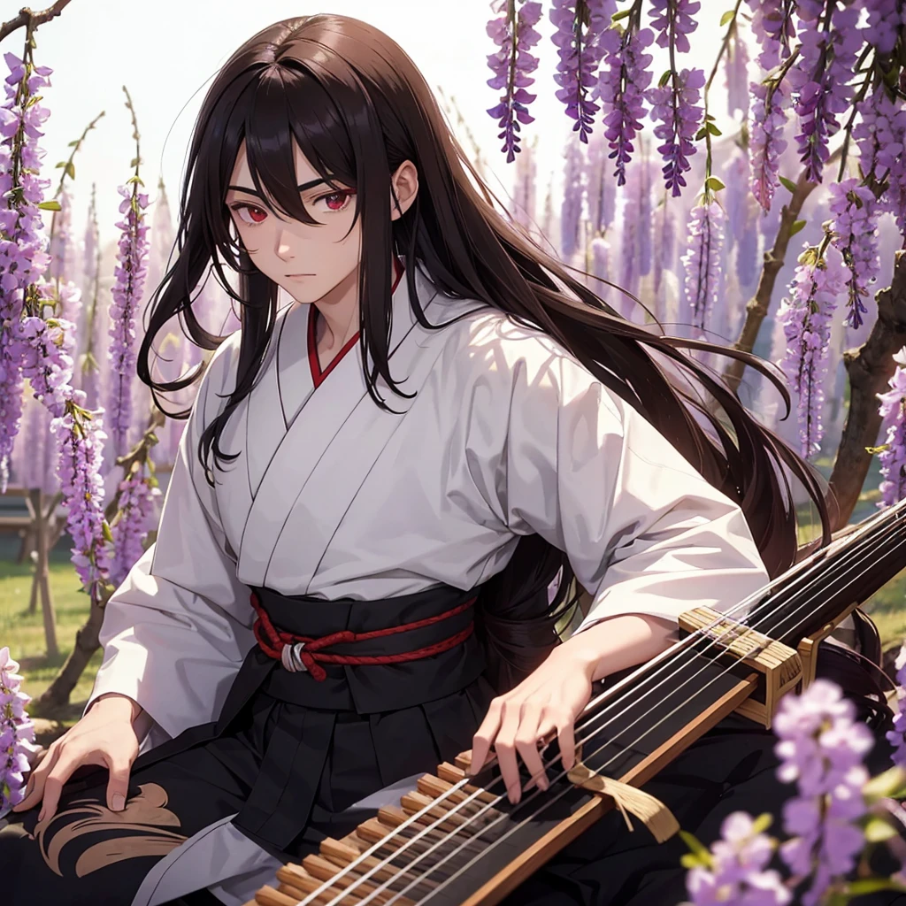 Demon slayer. A 19 year old man with long, thick, brown hair in a half pony tail. The hair is down to his waist and he has red eyes. Also, he wears a plain white haori. Taisho era Japan. Holding a instrument called The Koto. He is sat in a field of Wisteria. Black gloves. He has very pale skin.