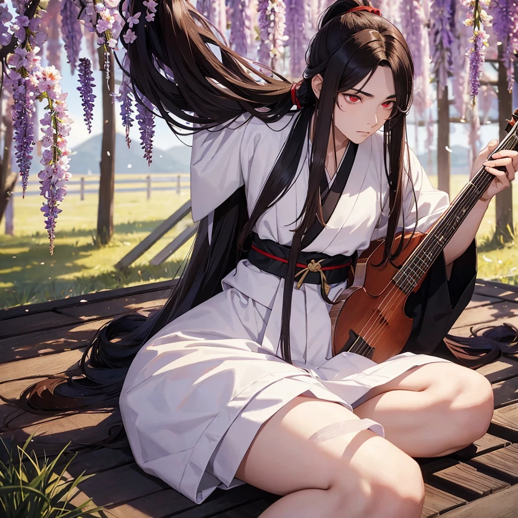 Demon slayer. A 19 year old man with long, thick, brown hair in a half pony tail. The hair is down to his waist and he has red eyes. Also, he wears a plain white haori. Taisho era Japan. Holding a instrument called The Koto. He is sat in a field of Wisteria. Black gloves. He has very pale skin.