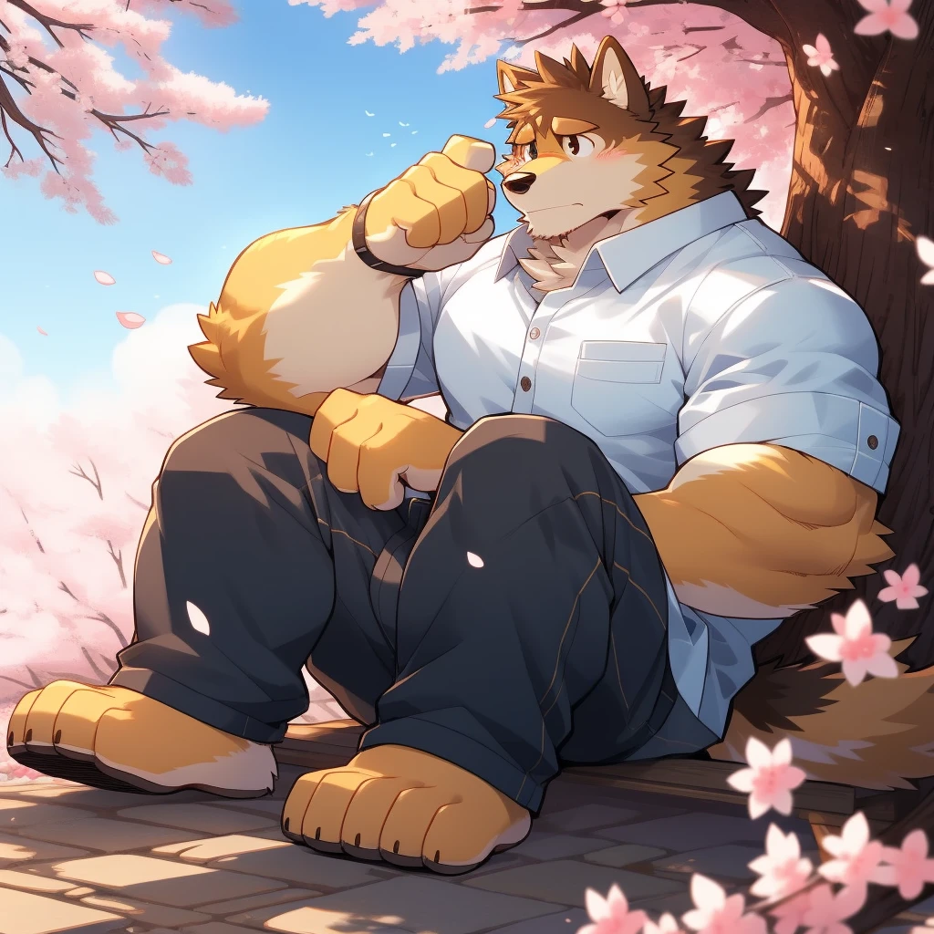 Scribble 柴dog face,Cute face,Humanity(dog),(Casual Wear:1.3),Muscular,(Brown eyebrows:1.1),(Perfect black eyes),（artist:Takemoto Arashi）,(Bulging buttocks),(Foam)，Cherry blossoms，Sitting，Sad expression，Wolf Tail。