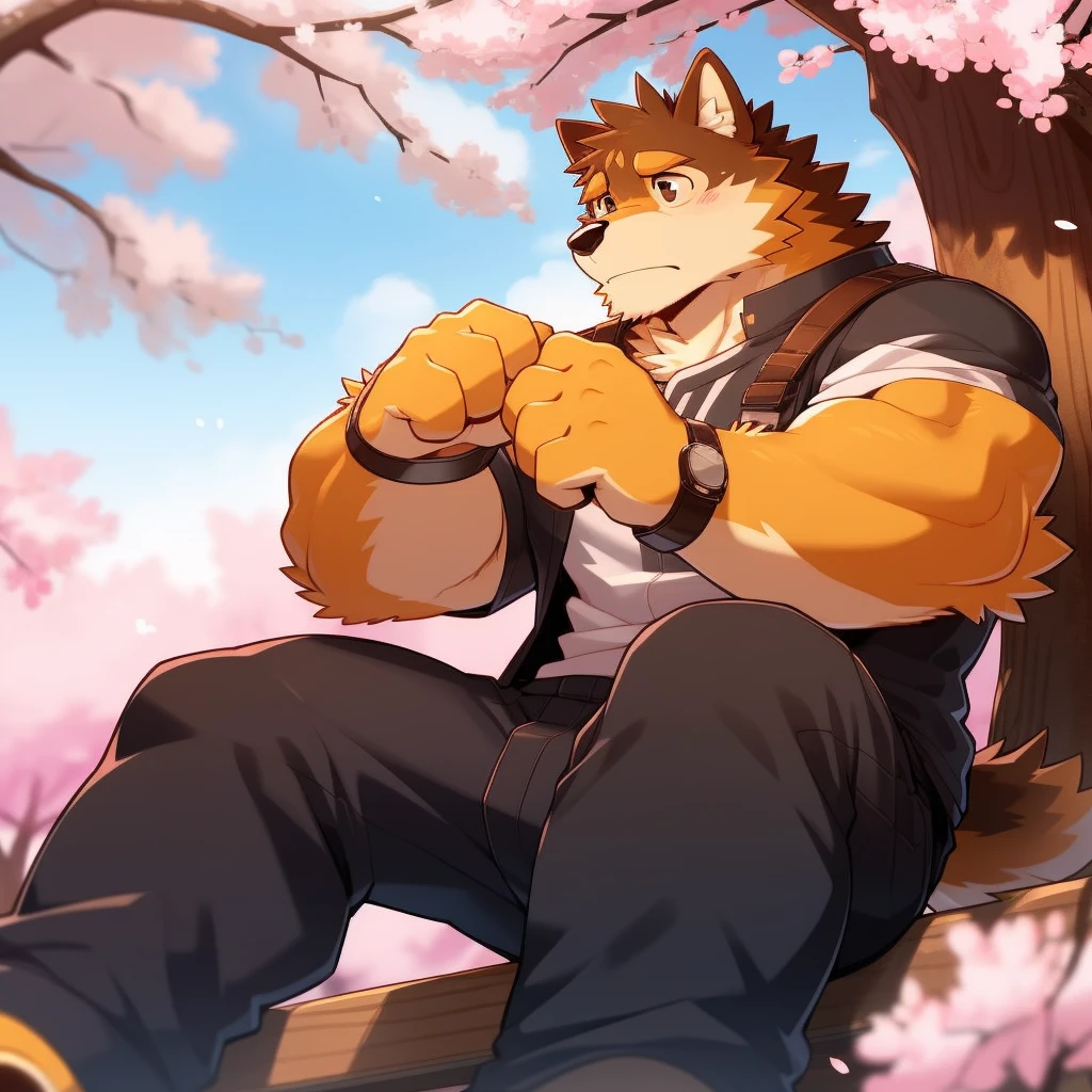 Scribble 柴dog face,Cute face,Humanity(dog),(Casual Wear:1.3),Muscular,(Brown eyebrows:1.1),(Perfect black eyes),(artist:Takemoto Arashi),(Bulging buttocks),(Foam),Cherry blossoms,Sitting,Sad expression,Wolf Tail。