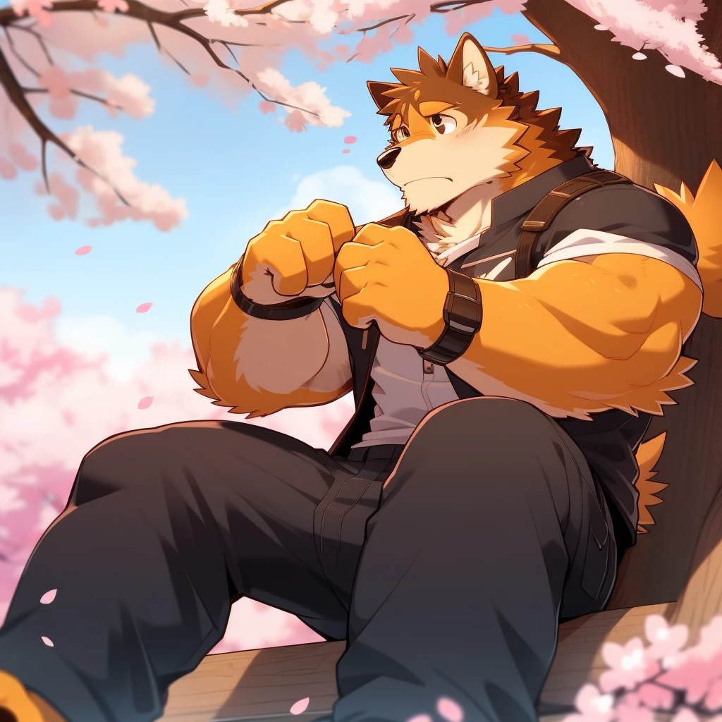 Scribble 柴dog face,Cute face,Humanity(dog),(Casual Wear:1.3),Muscular,(Brown eyebrows:1.1),(Perfect black eyes),（artist:Takemoto Arashi）,(Bulging buttocks),(Foam)，Cherry blossoms，Sitting，Sad expression，Wolf Tail。