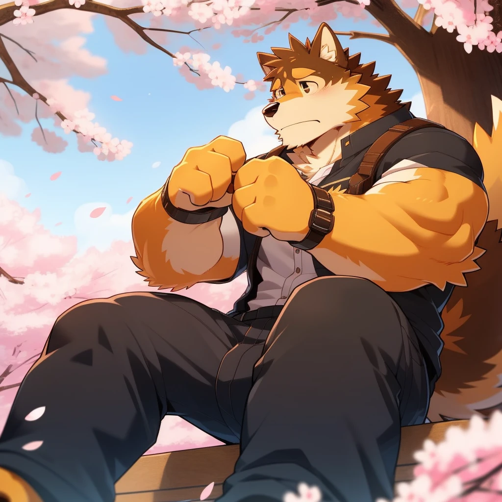 Scribble 柴dog face,Cute face,Humanity(dog),(Casual Wear:1.3),Muscular,(Brown eyebrows:1.1),(Perfect black eyes),（artist:Takemoto Arashi）,(Bulging buttocks),(Foam)，Cherry blossoms，Sitting，Sad expression，Wolf Tail。