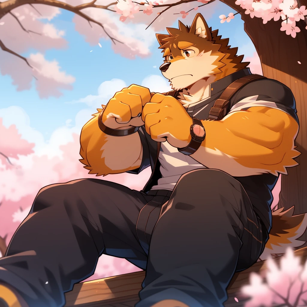 Scribble 柴dog face,Cute face,Humanity(dog),(Casual Wear:1.3),Muscular,(Brown eyebrows:1.1),(Perfect black eyes),（artist:Takemoto Arashi）,(Bulging buttocks),(Foam)，Cherry blossoms，Sitting，Sad expression，Wolf Tail。