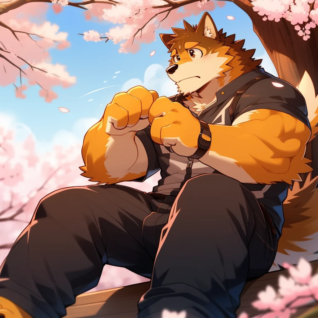 Scribble 柴dog face,Cute face,Humanity(dog),(Casual Wear:1.3),Muscular,(Brown eyebrows:1.1),(Perfect black eyes),（artist:Takemoto Arashi）,(Bulging buttocks),(Foam)，Cherry blossoms，Sitting，Sad expression，Wolf Tail，（Four fingers）