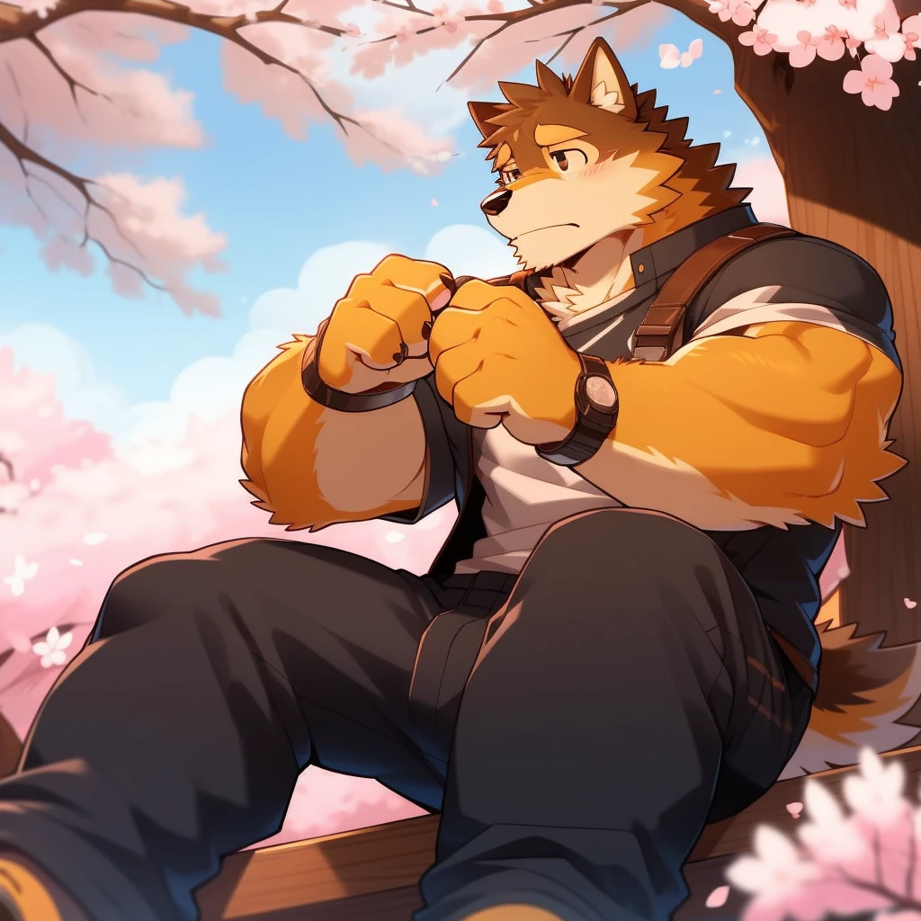 Scribble 柴dog face,Cute face,Humanity(dog),(Casual Wear:1.3),Muscular,(Brown eyebrows:1.1),(Perfect black eyes),（artist:Takemoto Arashi）,(Bulging buttocks),(Foam)，Cherry blossoms，Sitting，Sad expression，Wolf Tail，（Four fingers）