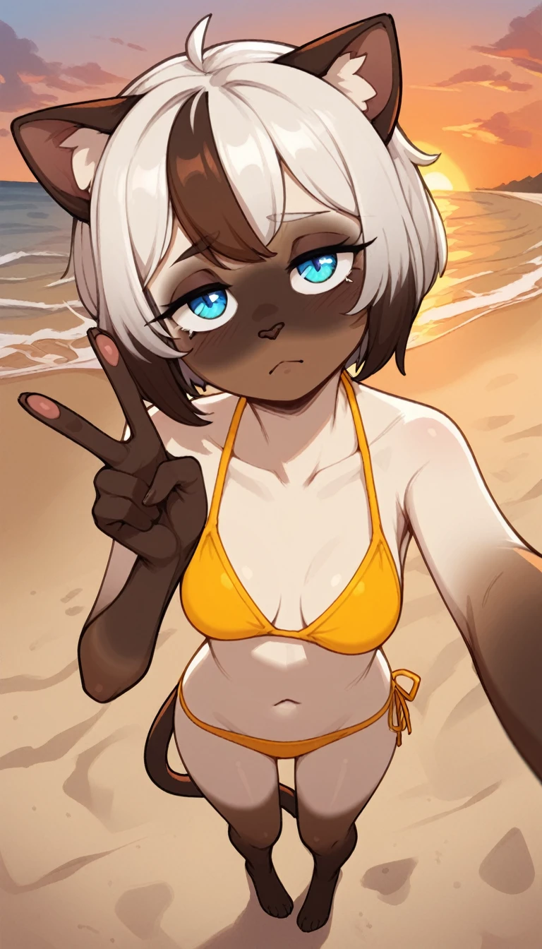 (by Kilinah, by Coffeesoda, by Hioshiru, by Kilinah), tired expression, 1girl, anthro, furry, fur, fluffy fur, siamese cat, cat girl, white hair (brown highlights), blue eyes, short hair, full body, (19 years), medium breast, thighs, solo, (beach), sunset, half-closed eyes, detailed, yellow bikini, depressed, sad, sunset, selfie angle, high angle camera, making the peace sign with one hand, score_9, score_8_up, score_7_up, score_6_up, score_5_up, score_4_up