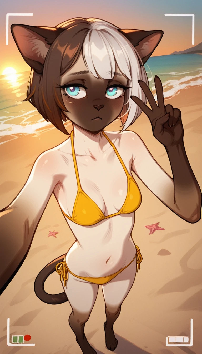 tired expression, 1girl, anthro, furry, fur, fluffy fur, siamese cat, cat girl, white hair (brown highlights), blue eyes, short hair, full body, (19 years), medium breast, thighs, solo, (beach), sunset, half-closed eyes, detailed, yellow bikini, depressed, sad, sunset, selfie angle, high angle camera, making the peace sign with one hand, baggy eyes, score_9, score_8_up, score_7_up, score_6_up, score_5_up, score_4_up