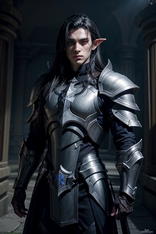 Male dark elf paladin