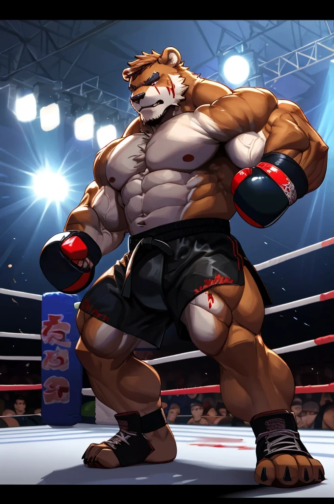 Semirealistic:1.3, Solo, 1boy, solo, muscular old man (furry grizzly bear) (bleeding, blood on body), ((fighting arena)), huge muscular, short hair, wearing kickboxing shorts, kickboxing MMA gloves, and mma kickboxing martial arts footwear with toeless footwear,(cinematic light vfx background), dark background