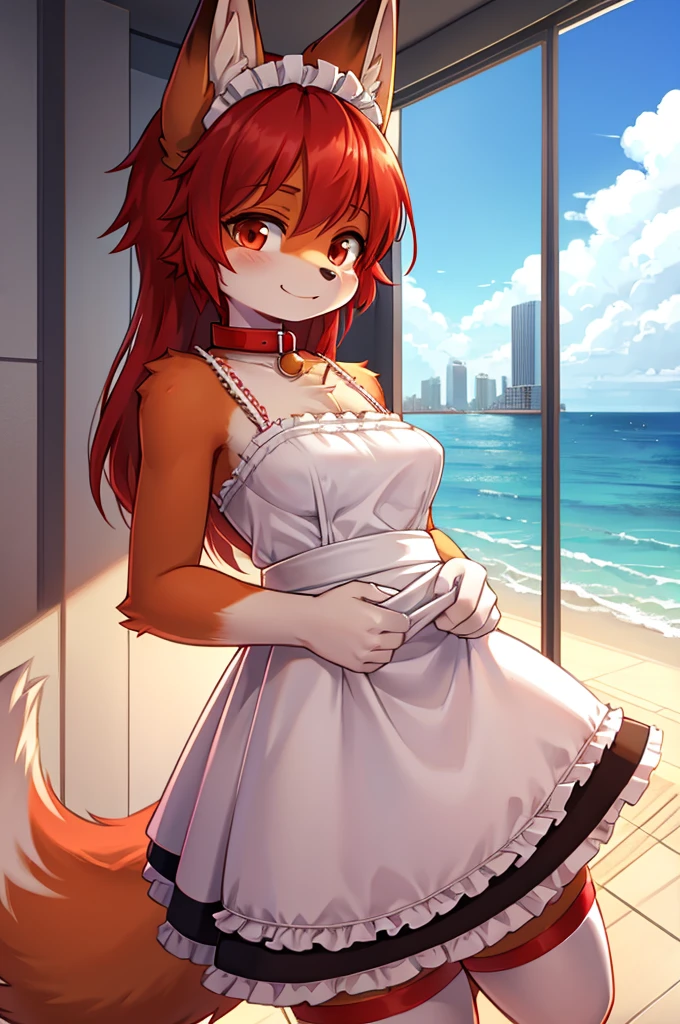 fox boy,Ocean,Red collar,Large high rise apartment building, Maid clothes,Red hair characteristics